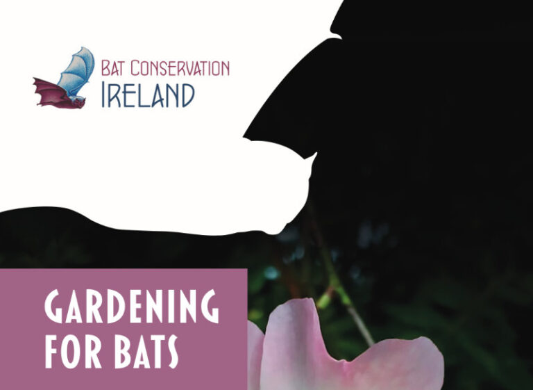 Cover of our Gardening for Bats leaflet